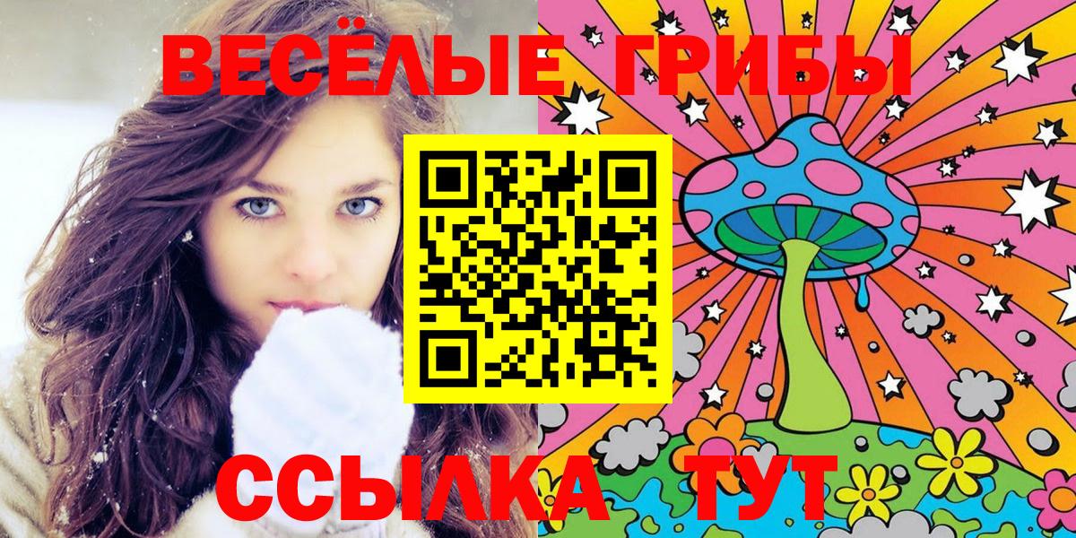 Строитель  Псилоцибиновые грибы Psilocybine cubensis  Вход с VPN 